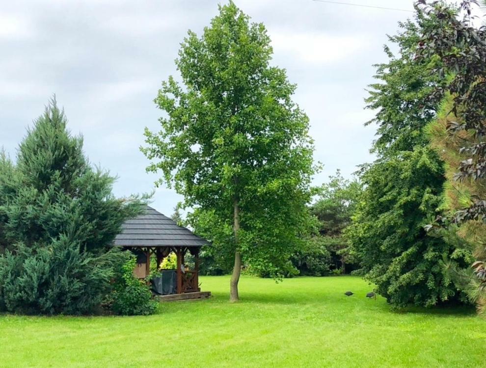 Apartmanove Ubytovanie Pod Dubom Polny Kesov Zewnętrze zdjęcie