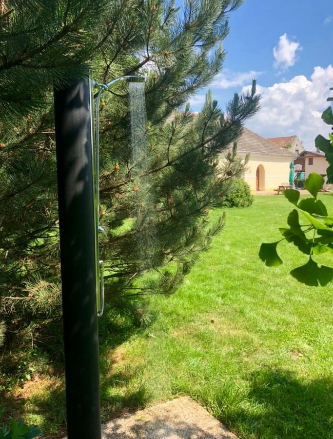 Apartmanove Ubytovanie Pod Dubom Polny Kesov Zewnętrze zdjęcie